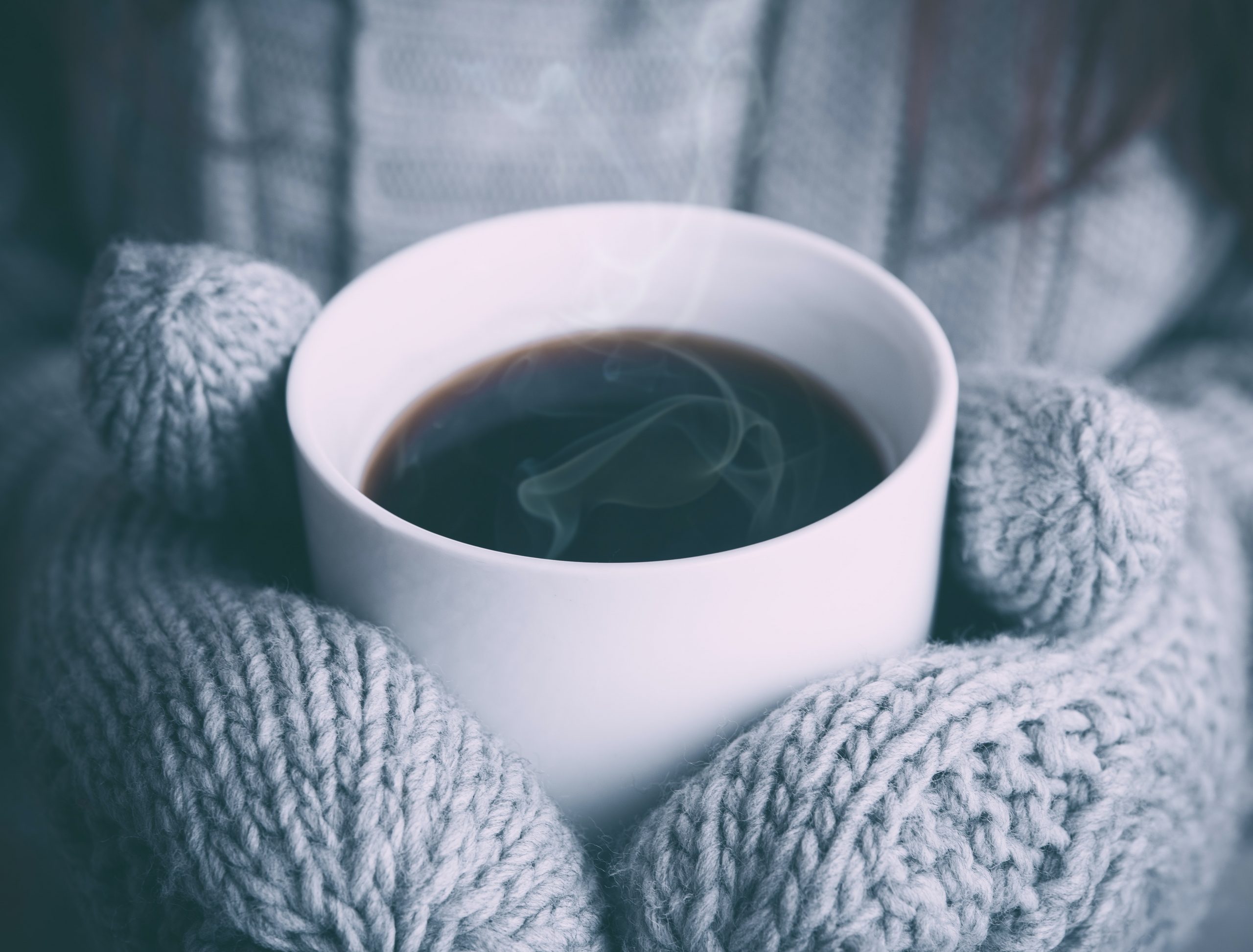 Frio com estilo: casacos para desejar o inverno