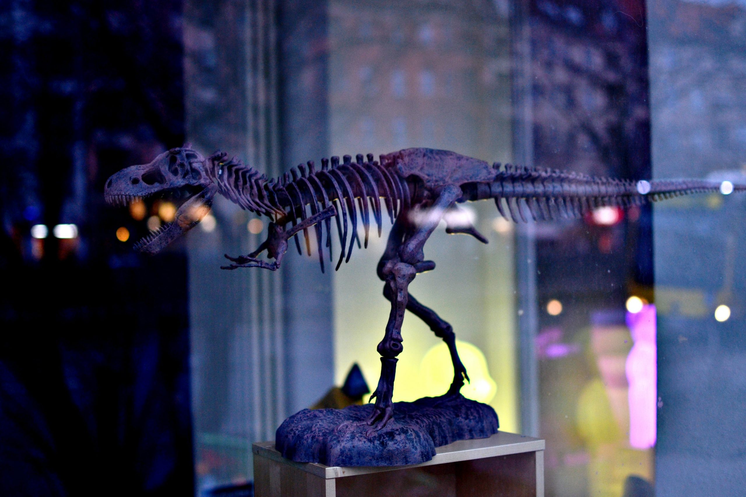 Escavando dinossauros